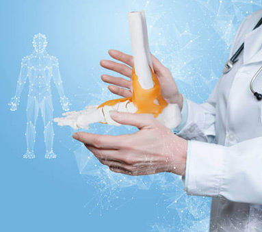 Bones and Joints