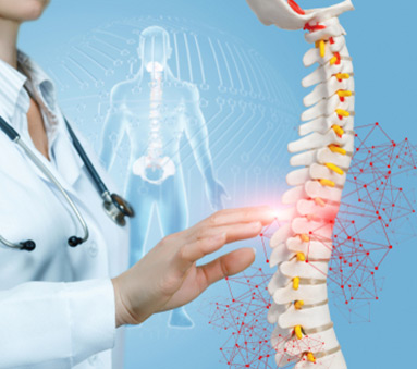 Spinal Cord Specialist
